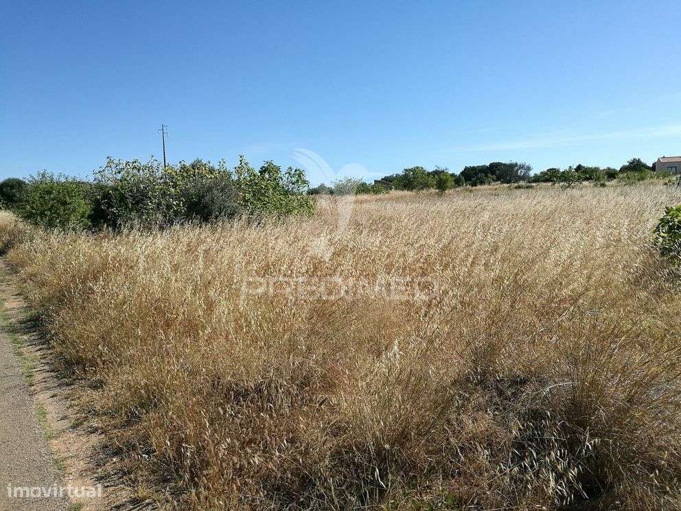 Terreno de 6320m2 com ruína e poço a 14km de Lagos - Grande imagem: 3/15