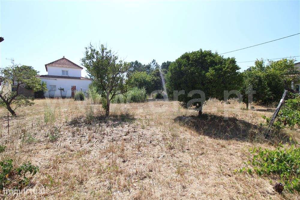 Terreno para Construção, Venda-7
