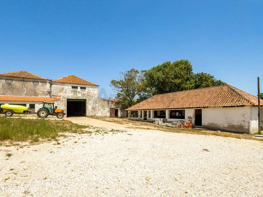 Quinta em Pleno Coração de Torres Vedras-24