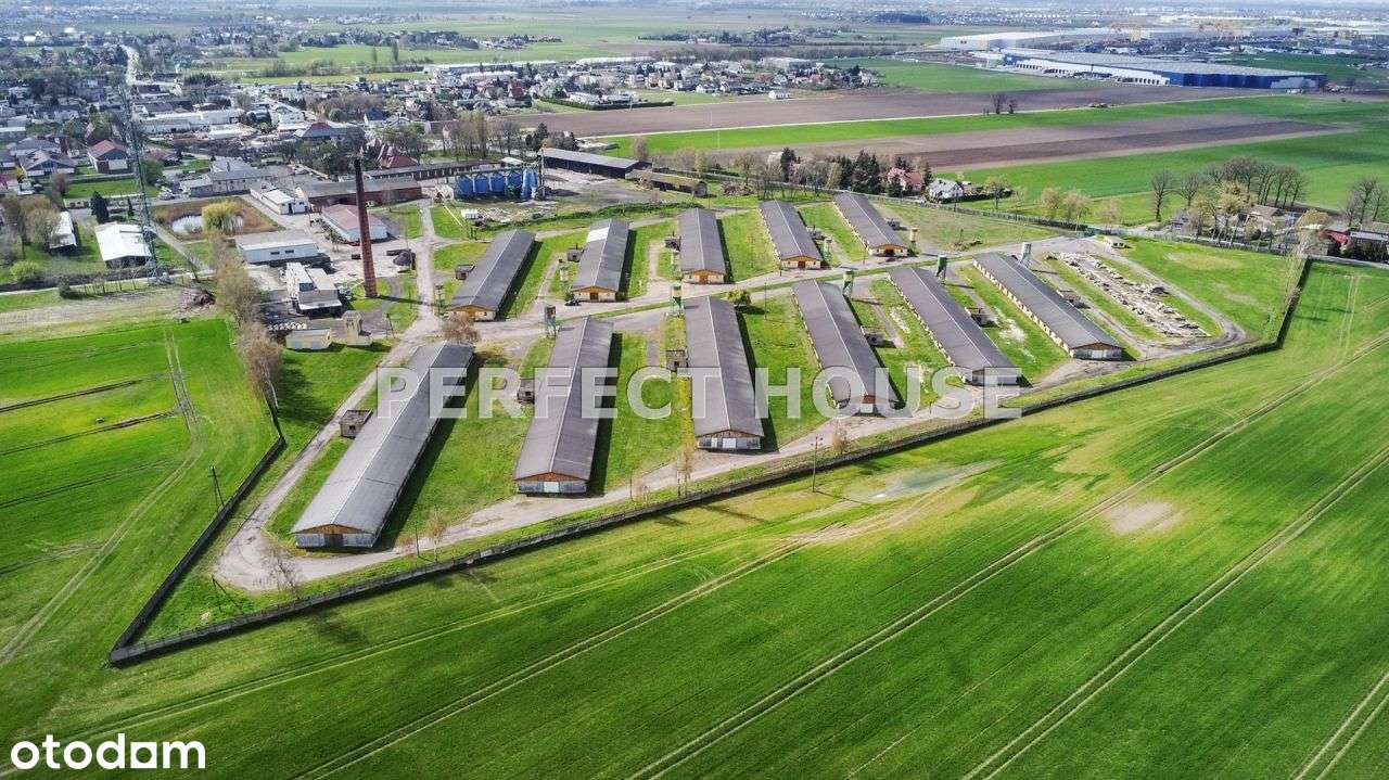 Spółdzielnia rolcznicza 155 ha - pow. poznański - Pełny obrazek: 1/20