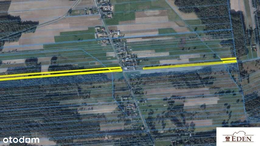 Grunt budowlano-rolno-leśny 2,9825 Ha, Rosy, gmina Stoczek Łukowski - Pełny obrazek: 5/6