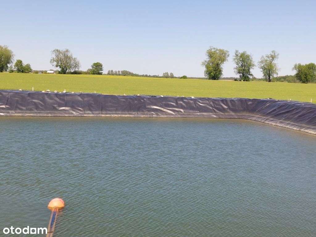 Pomysł na biznes. Zaproponuj Cenę - Pełny obrazek: 5/8