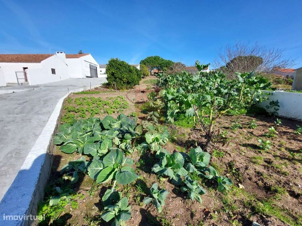 Moradia T3 em São Clemente, Alvorninha-24