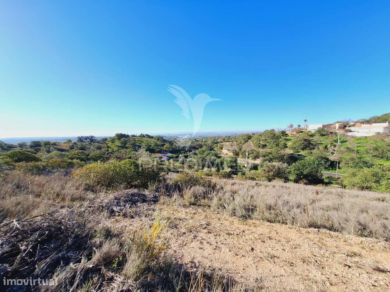 Terreno rústico em Alfontes - Boliqueime - Grande imagem: 3/28