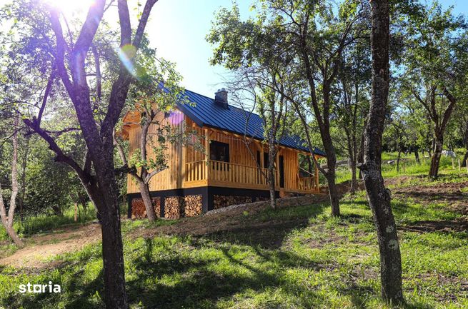 Cabane de vis în Nucșoara, Argeș-7