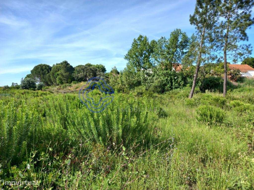 Terreno para construção na cidade de Tomar no cetro de Portugal - Grande imagem: 5/32