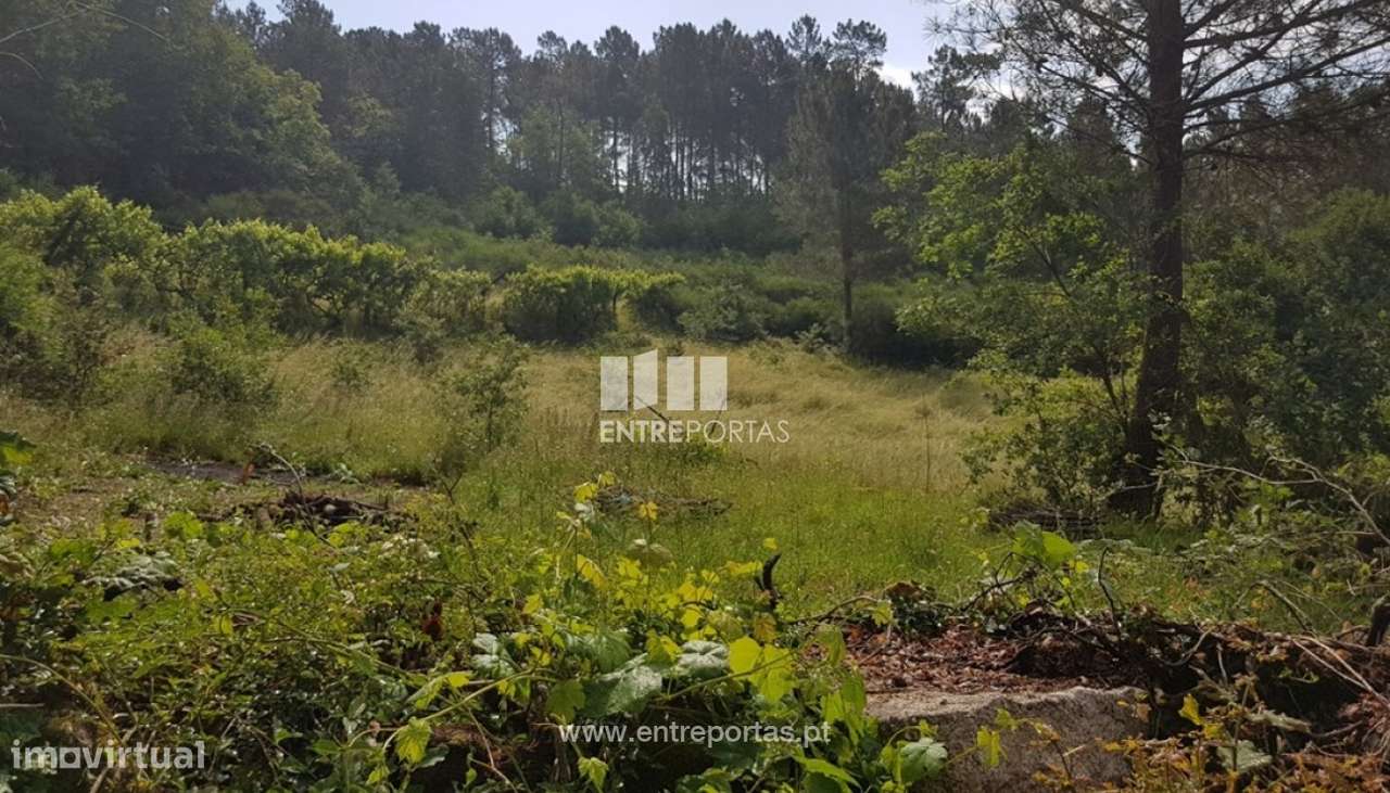 Venda Terreno, vista desafogada, Ovil, Baião - Grande imagem: 4/28