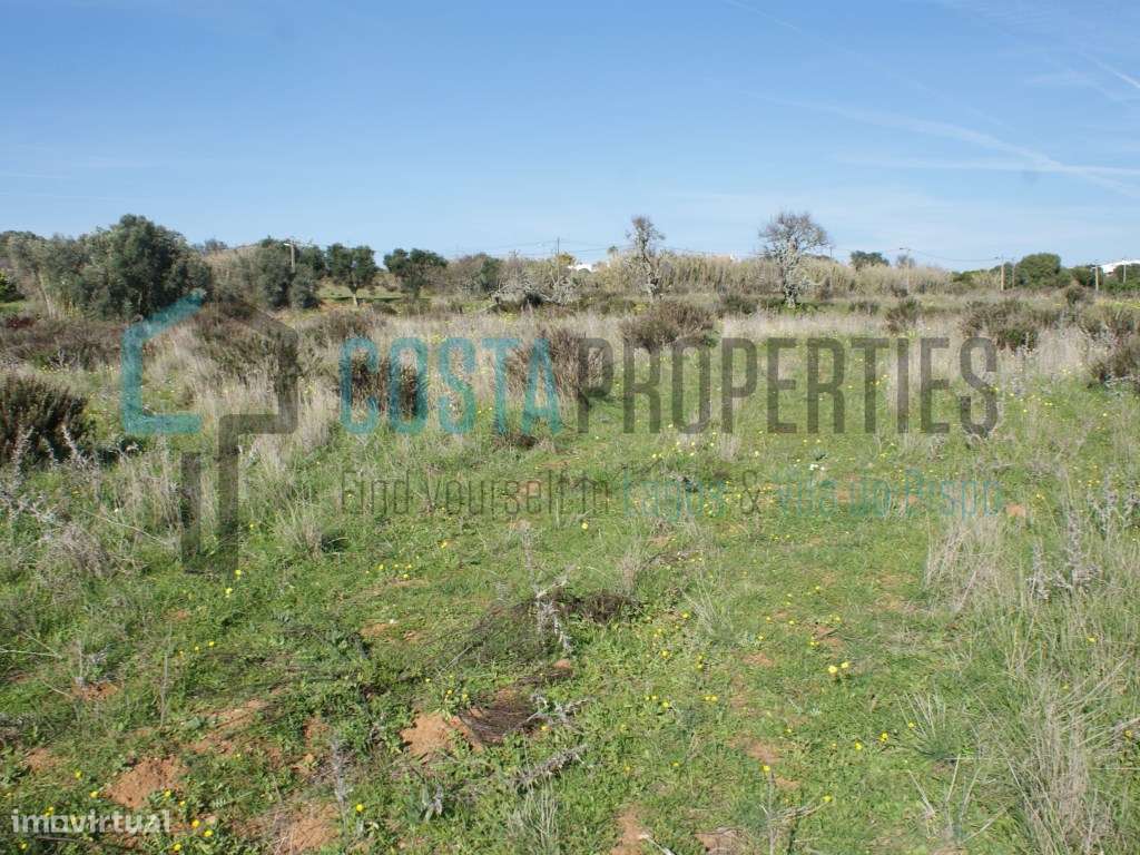 Terreno Rústico na Raposeira - Grande imagem: 3/4