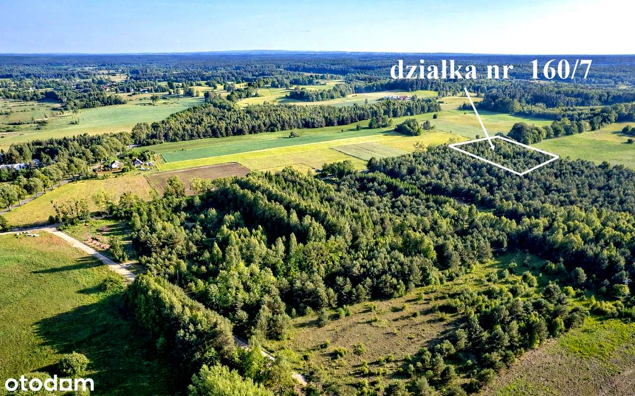 Działka 8002 m2 przy lesie idealna na siedlisko Łukta Ostróda Olsztyn - Pełny obrazek: 2/2