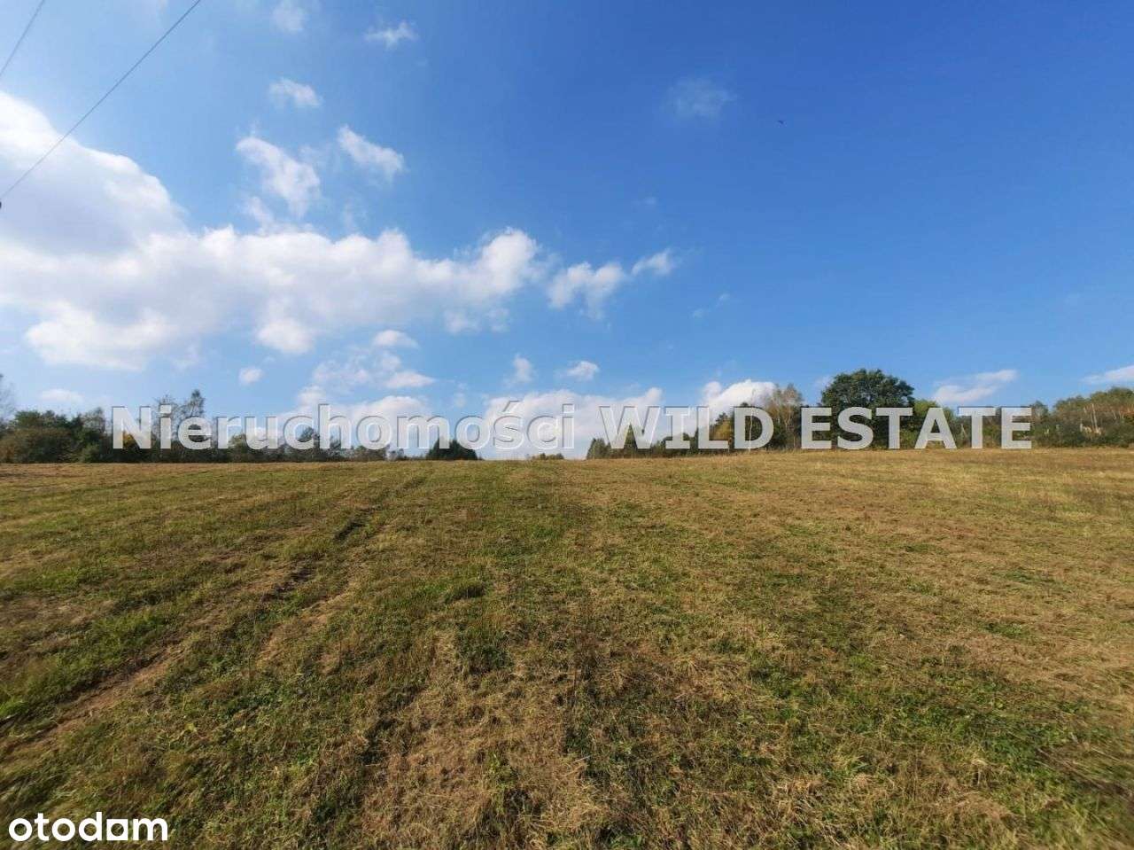 Działka, 2 985 m², Olszanica - Pełny obrazek: 4/12