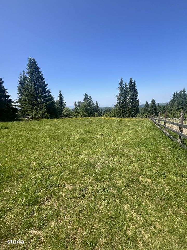 Teren intravilan 5700mp, zona Marisel - Imagine principală: 4/6