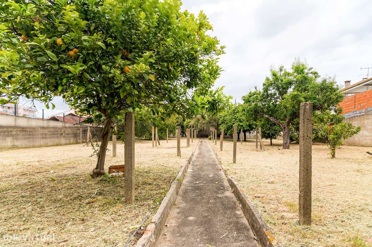 Moradia T3 com Terreno de 2.270m² no Centro do Entroncamento-32
