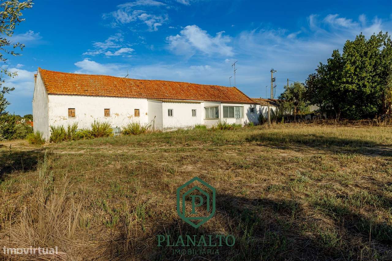 Quinta  Venda em Cortiçadas de Lavre e Lavre,Montemor-o-Novo-5