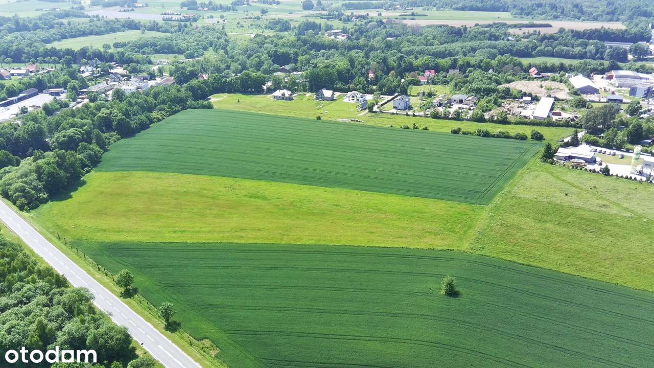 Na Sprzedaż Grunt Pod Produkcję i Usługi przy DK 33-16