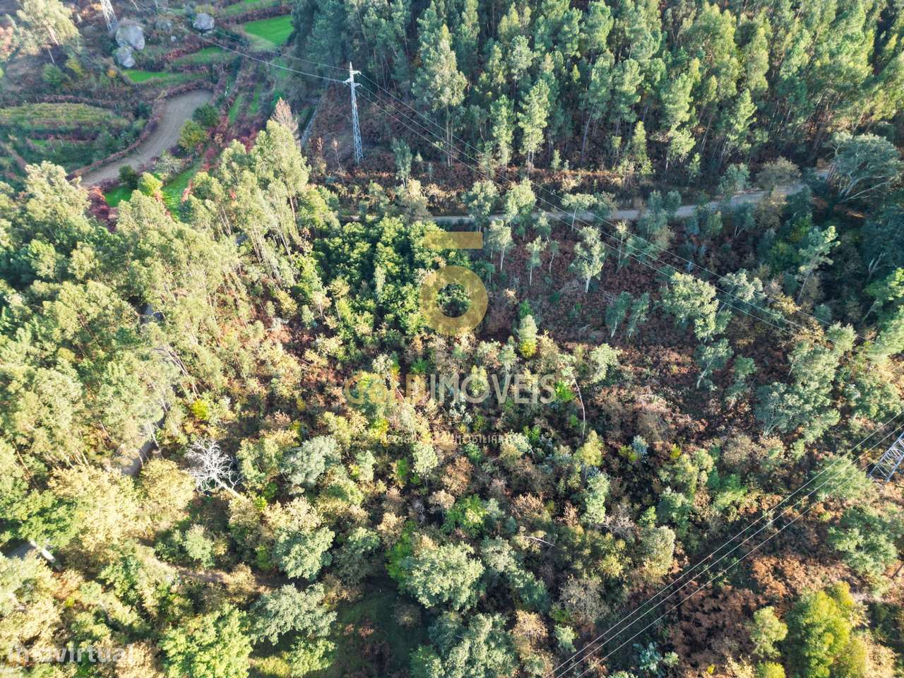 Terreno  Venda em Fornos,Castelo de Paiva - Grande imagem: 5/8