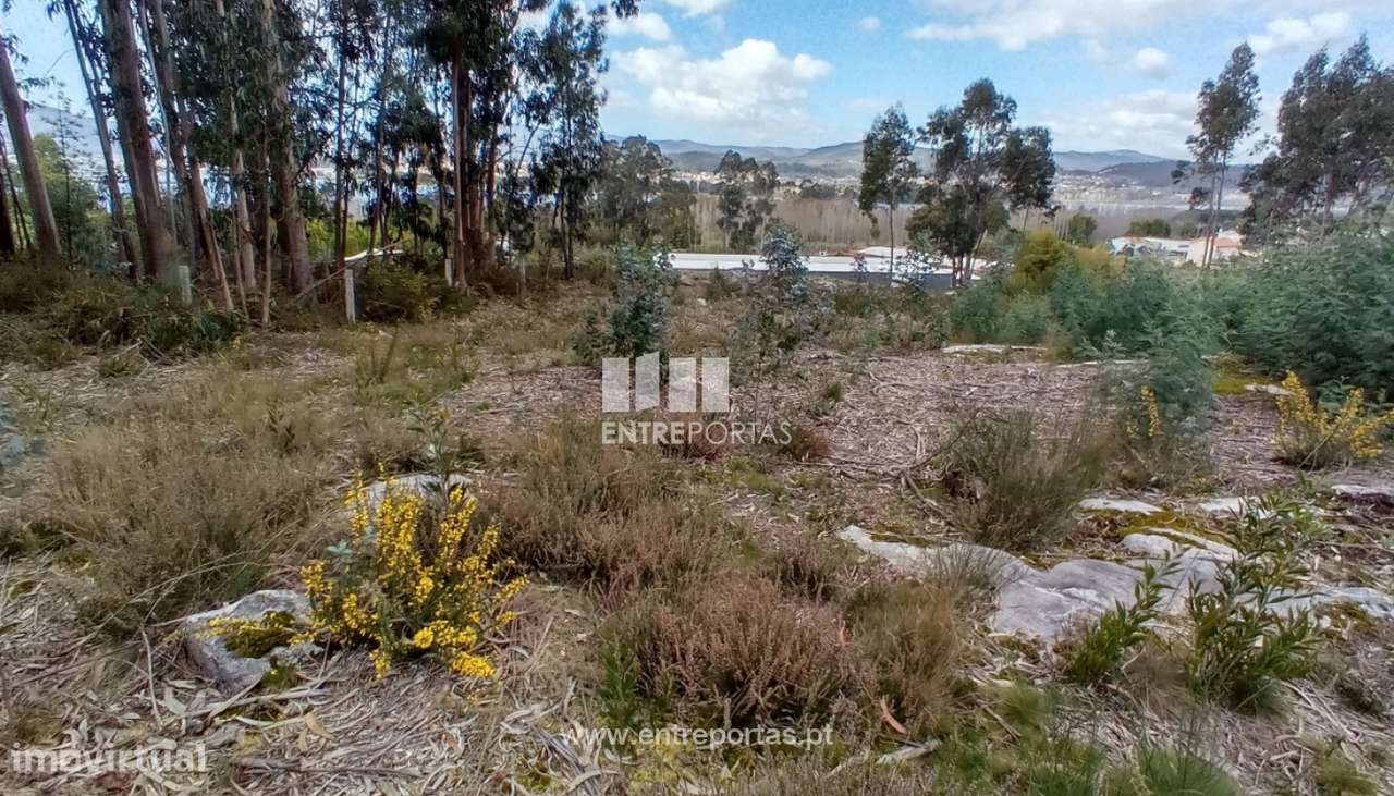 Terreno com vistas rio para venda, Lanhelas, Caminha - Grande imagem: 5/35