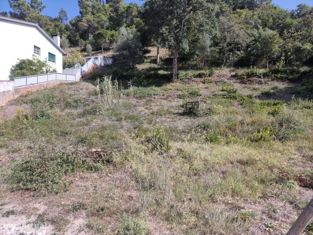 Lote - São Romão -Leiria-1