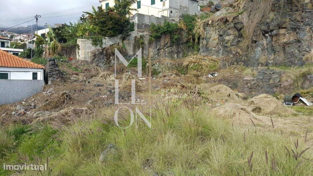 Terreno para construção de 1305m2 | Vista Mar | Imaculado Coração Mari - Grande imagem: 5/31