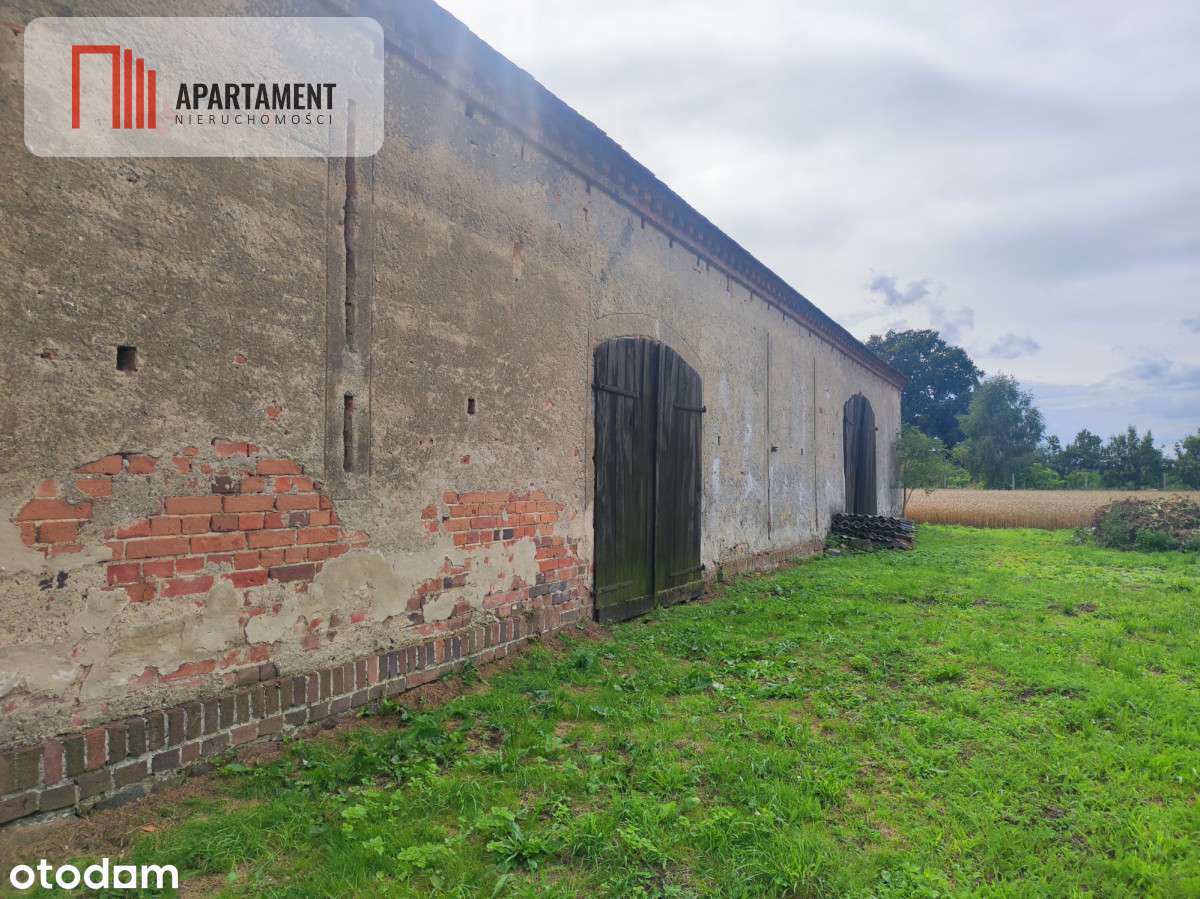 Działka rolna z dużą stodołą. - Pełny obrazek: 5/8