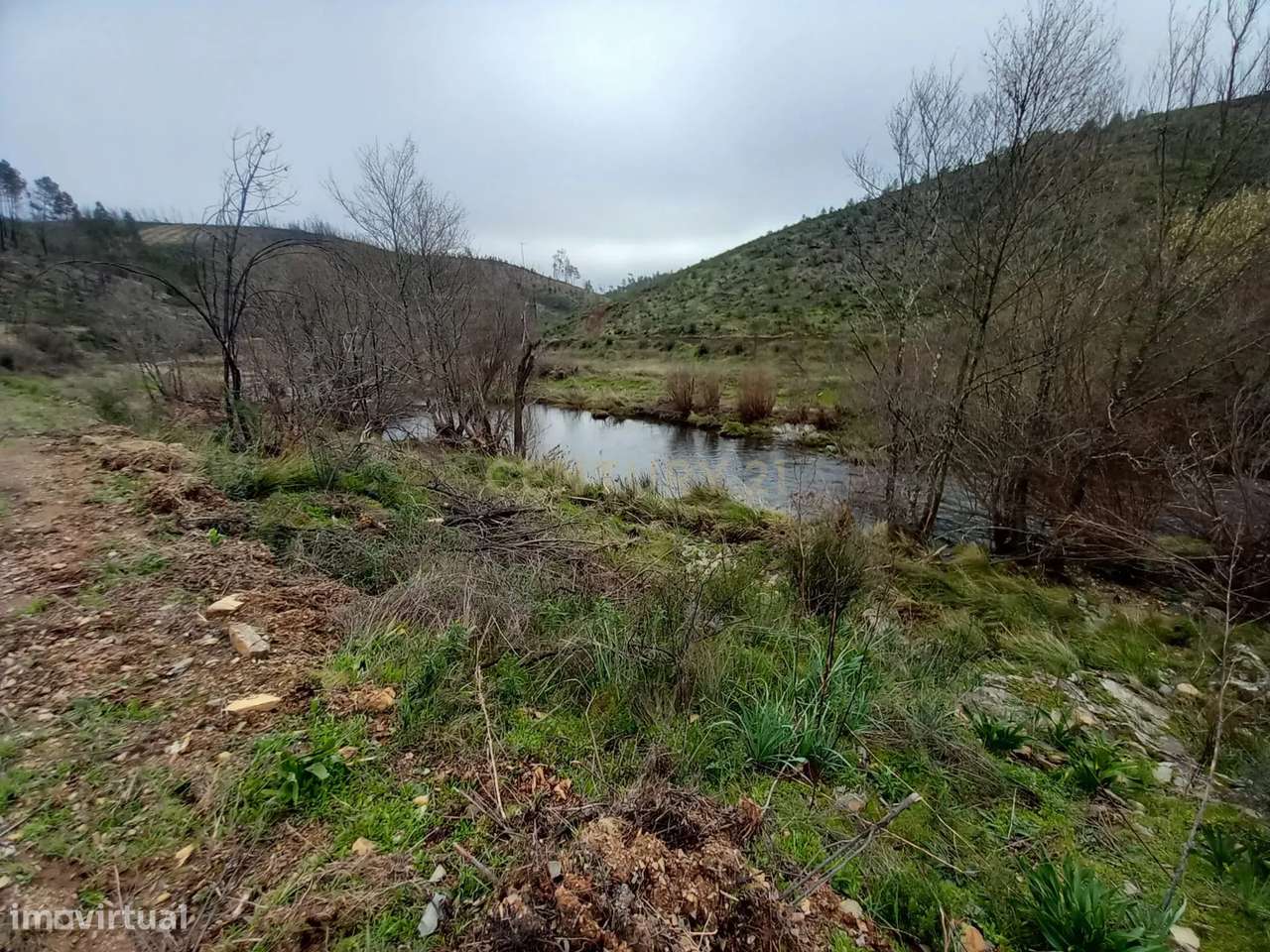 Terreno Rustico com 10000m2 Sobrainho da Ribeira - Grande imagem: 3/12