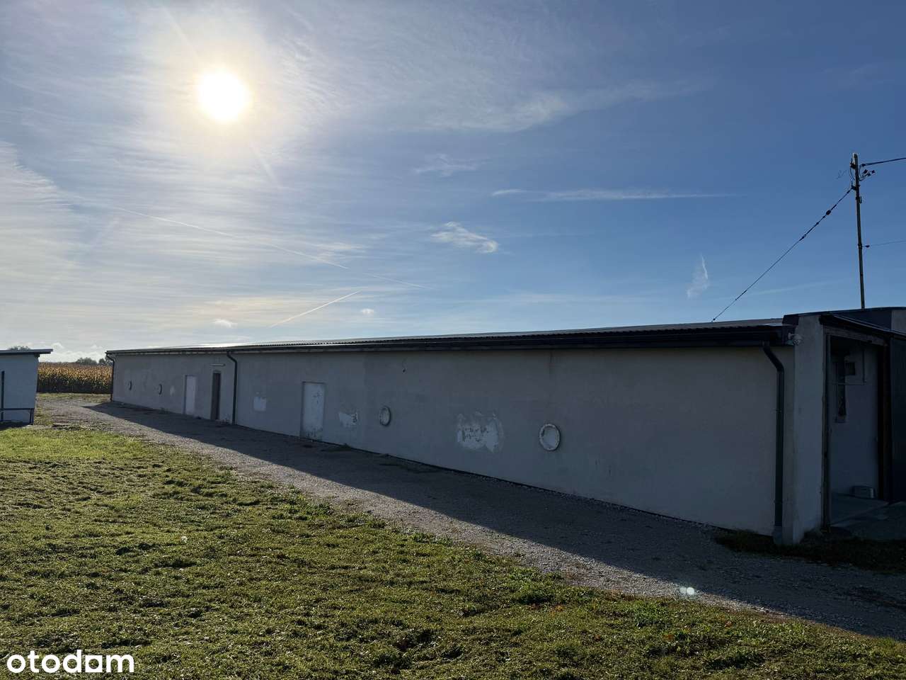 Hala/Magazyn 800m² z monitoringiem i mediami - Pełny obrazek: 5/19