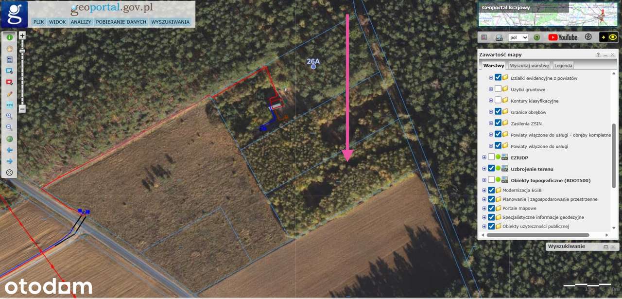 Działka budowlana położona w lesie, 10 minut do Rypina - Pełny obrazek: 1/2