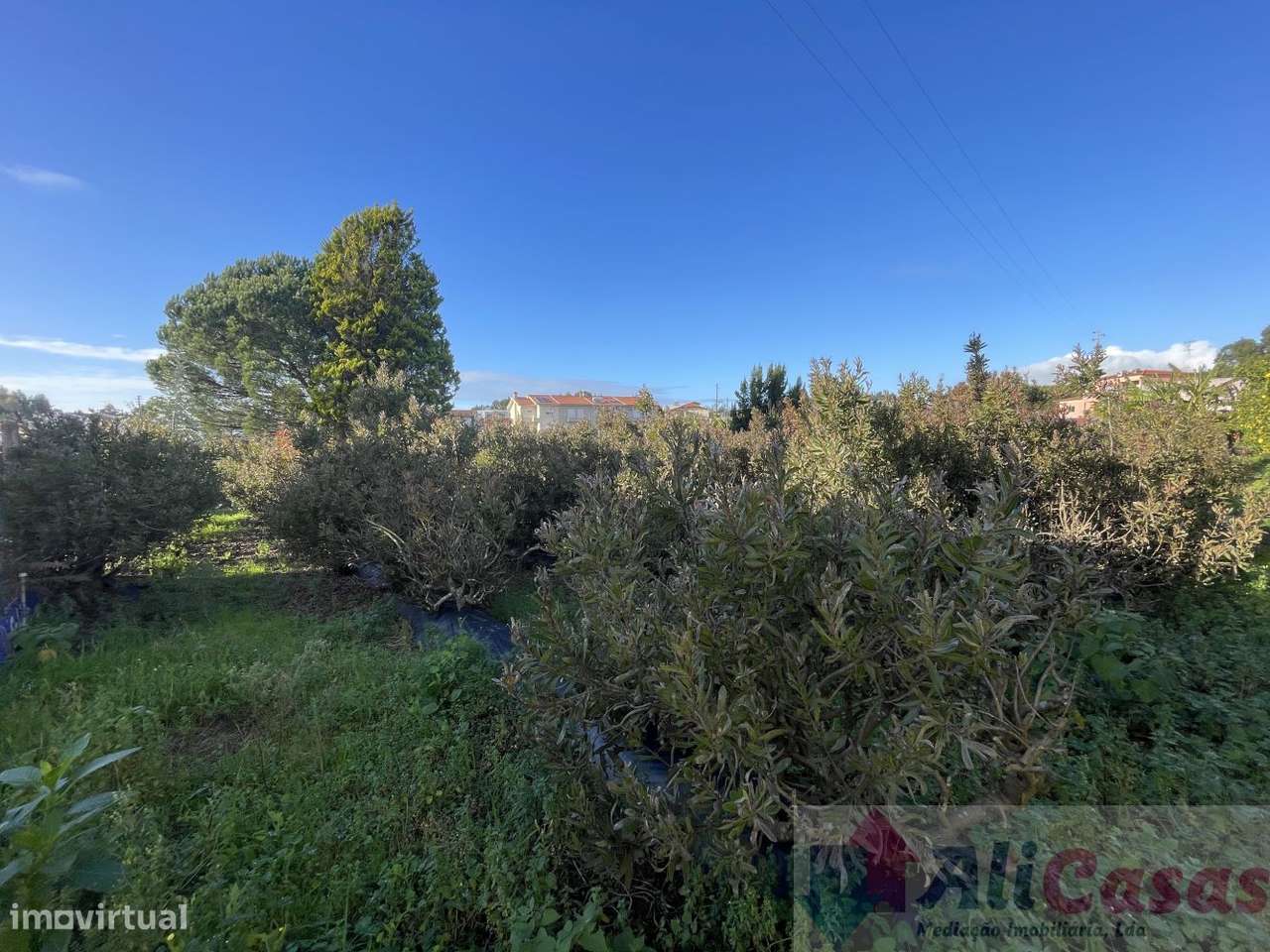 Fantástica Vivenda C/-50