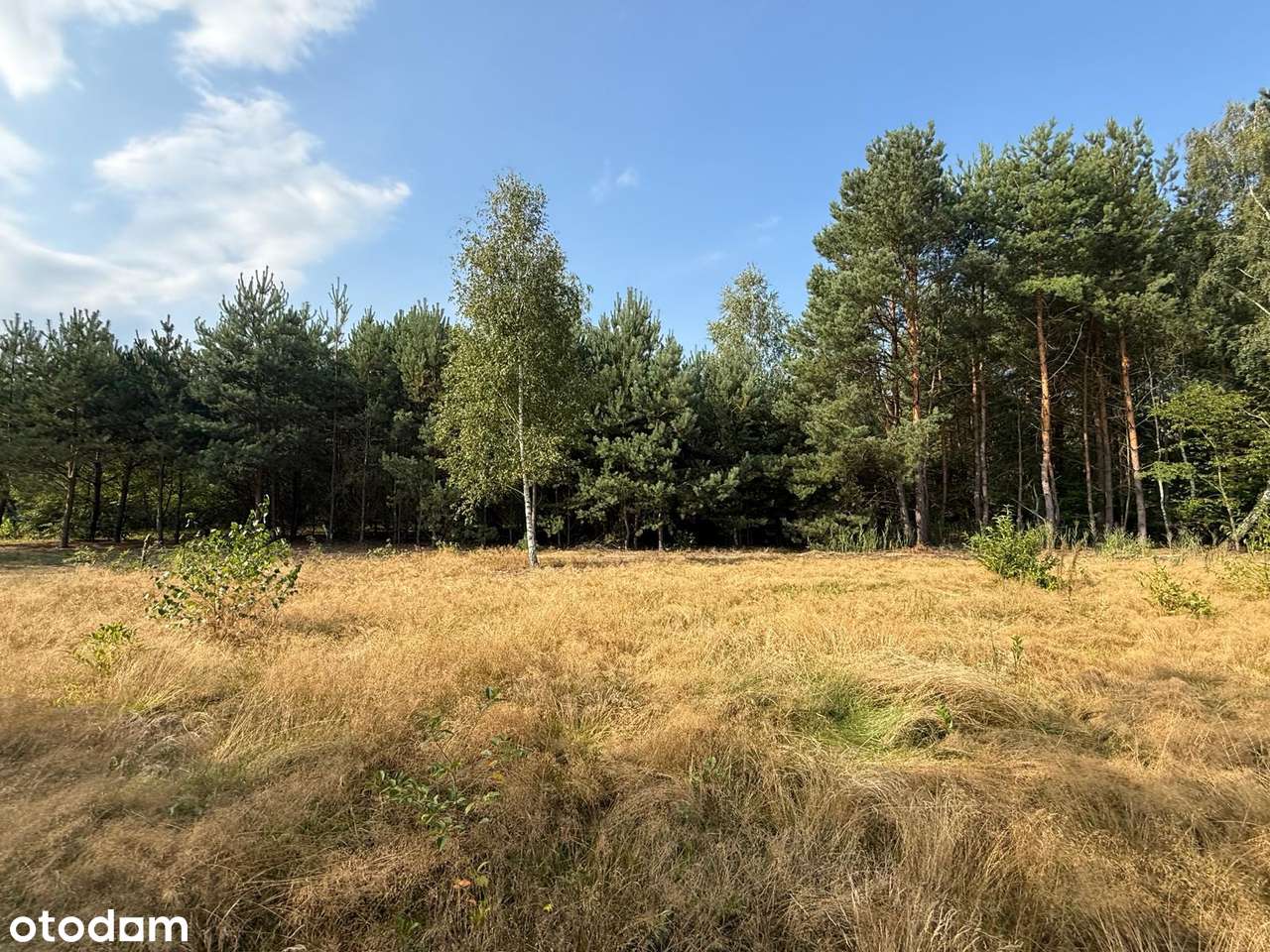 Działka z prywatnym dostępem do jeziora Sumino-10