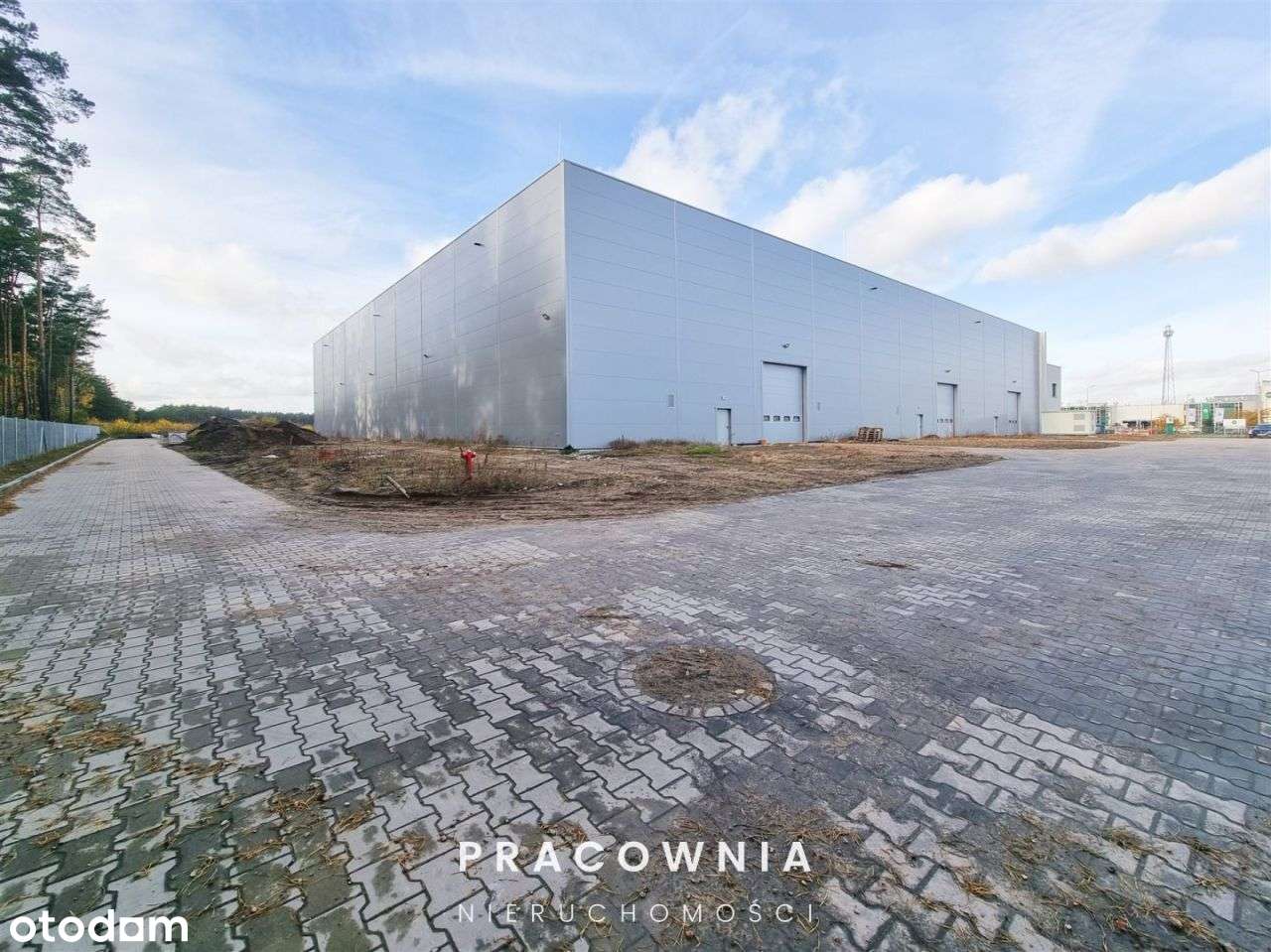 Do wynajęcia hala i budynek biurowy - Pełny obrazek: 4/19