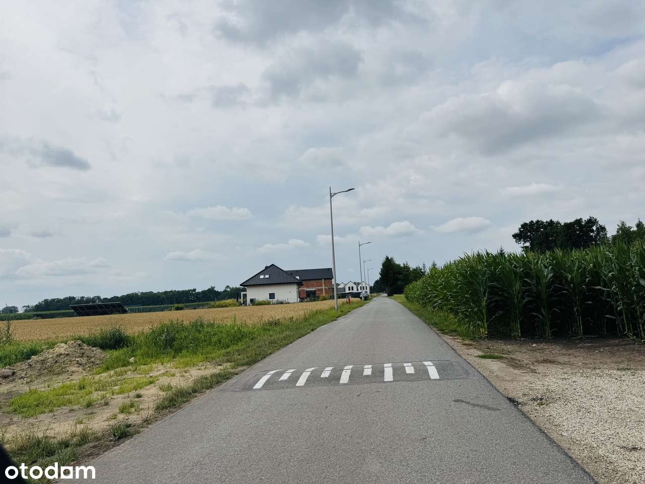 Wierzbice, działka budowlano-rolna o pow. 1,3 ha,-5