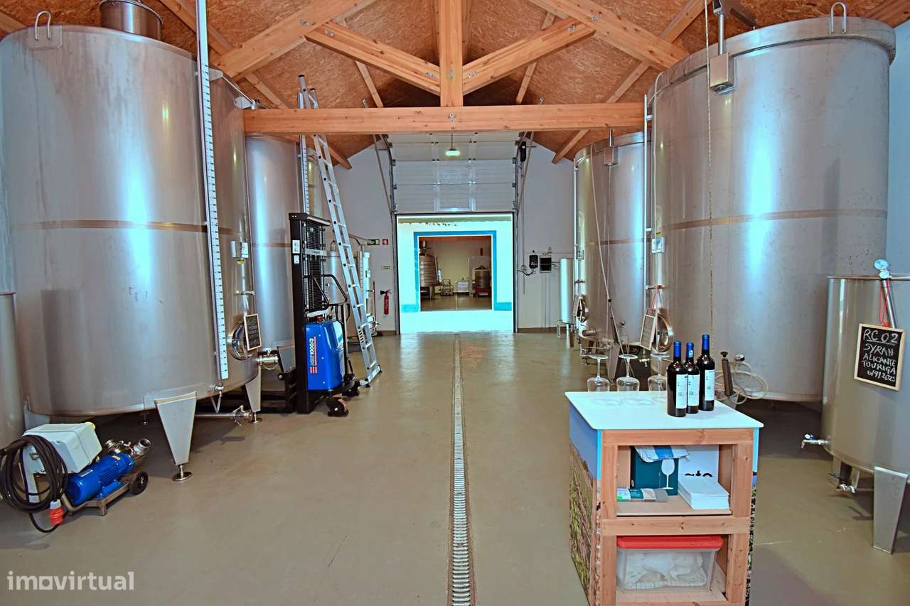 Adega com certificação DOC Alentejo - Grande imagem: 5/14