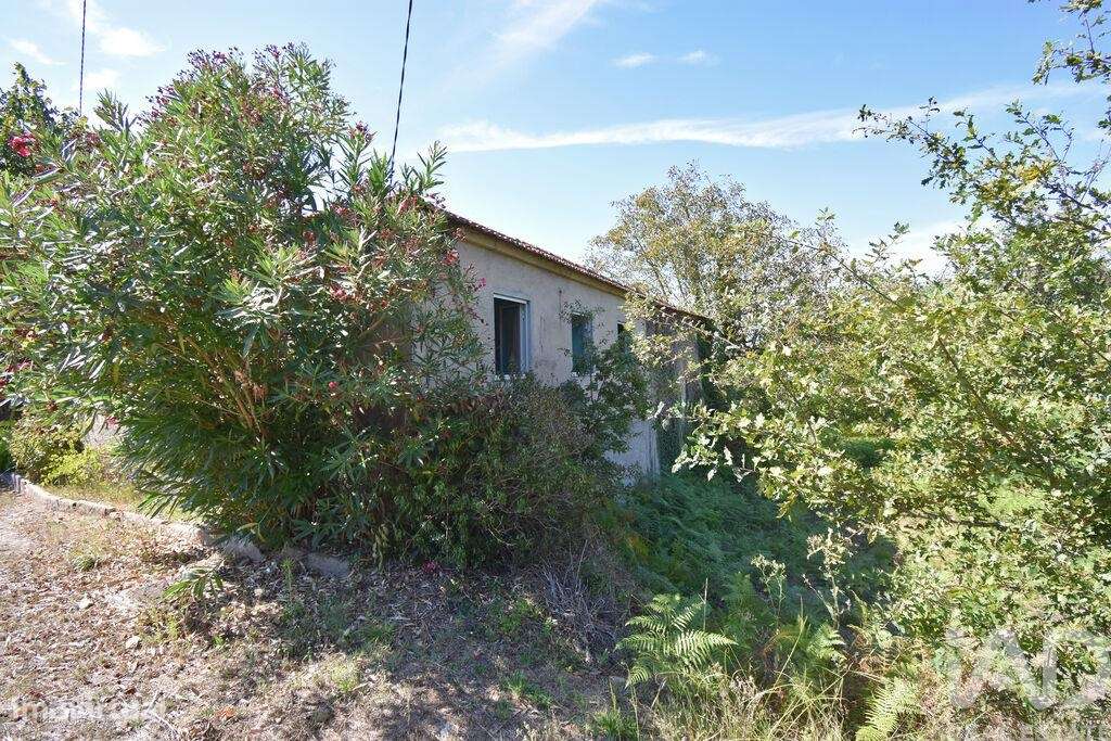 Casa tradicional T4 em São Miguel, Santa Eufémia e Rabaçal de 284,00 m - Grande imagem: 4/30