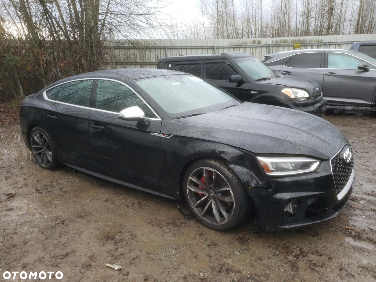 Audi S5 - 5