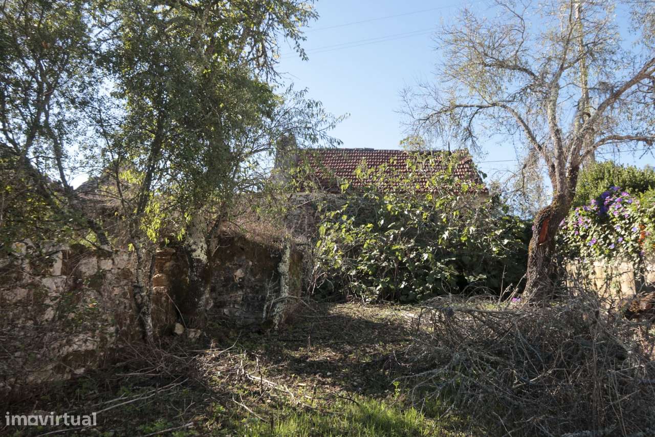 Terreno Urbano - 2 Artigos - Vale da Perra - Fátima - Ourém-6