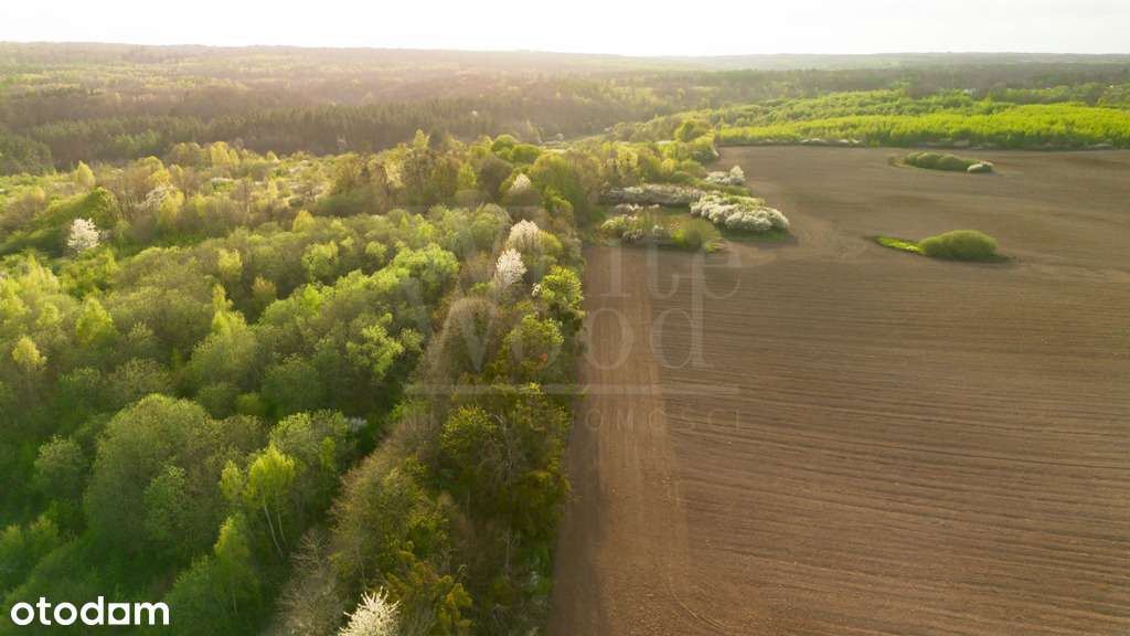 Pręgowo Górne, działki budowlane z MPZP-3