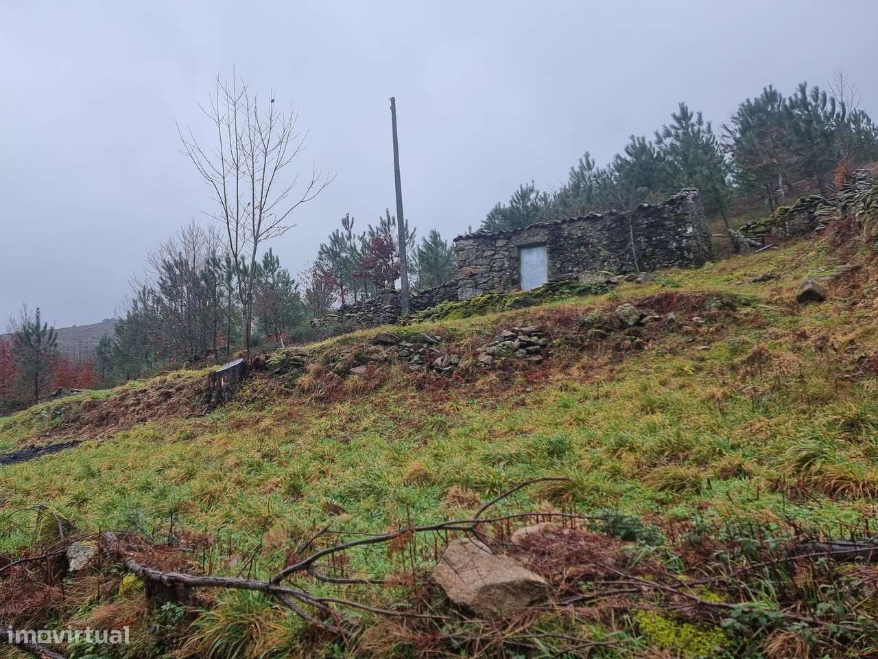 Moradia para restauro-5