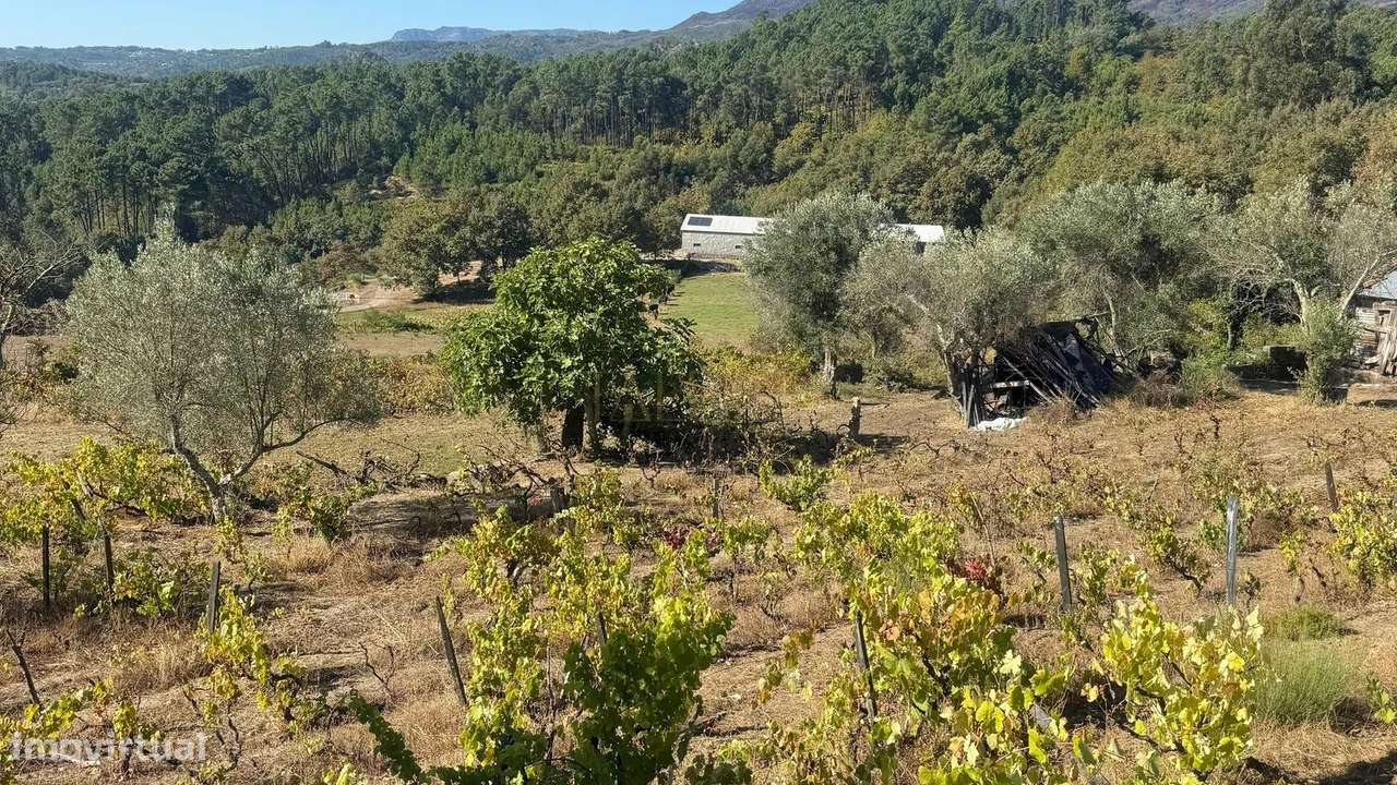 Quinta de 12.200m2 com Potencial Ilimitado, em Lordelo - Vila Real - Grande imagem: 2/11