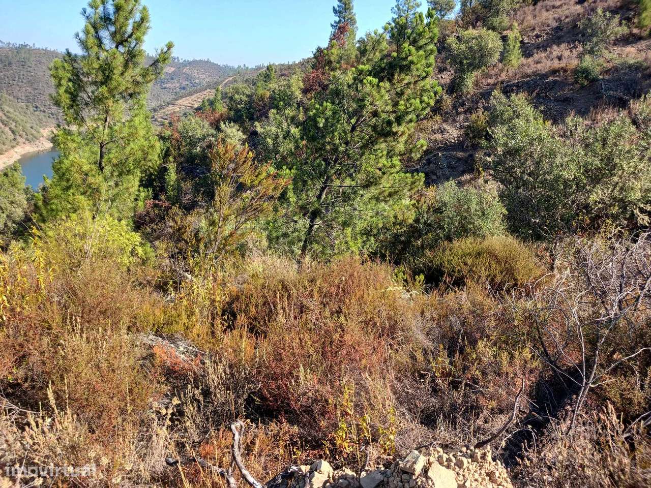 Terreno-3