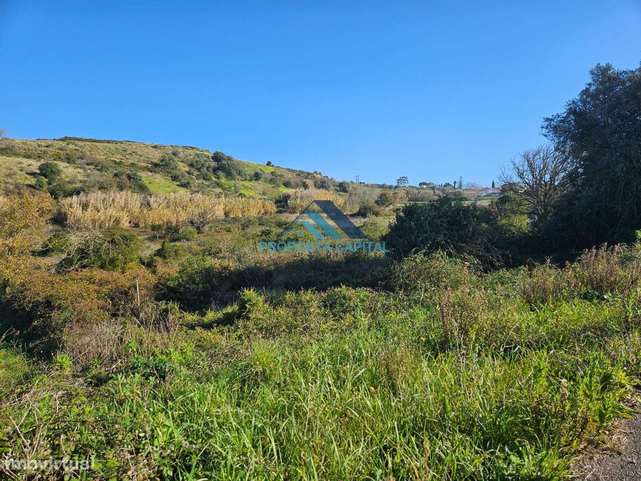 Terreno de 8960m2 para venda em Runa - Grande imagem: 3/5