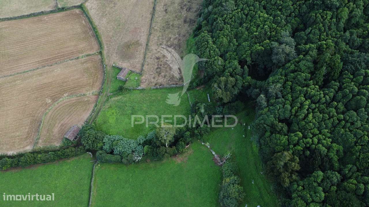 Mata com 968m2 - Grande imagem: 5/11