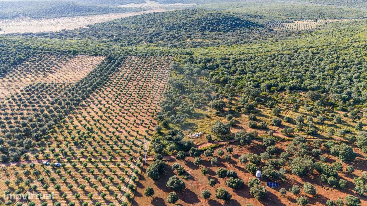 Terreno  para venda - Grande imagem: 4/4