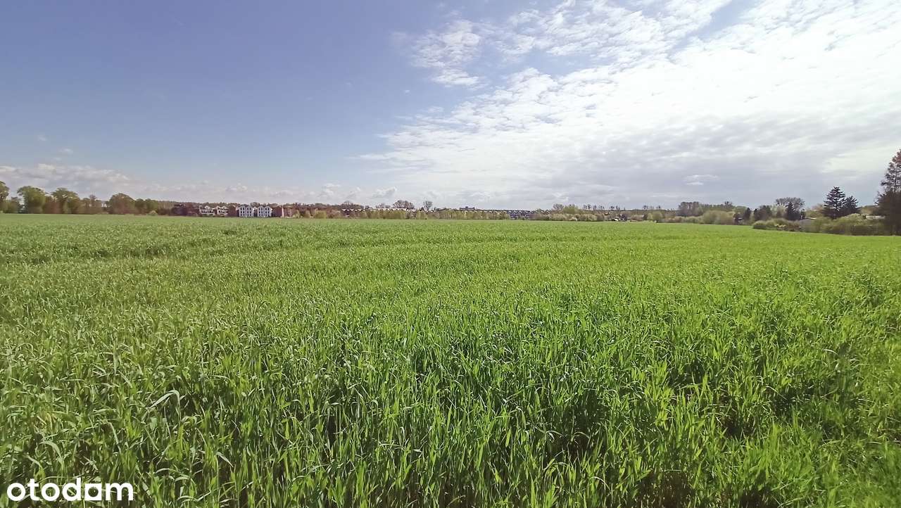 | Koninko | PROMOCJA | OKAZJA INWESTYCYJNA | działki budowlane | - Pełny obrazek: 5/7