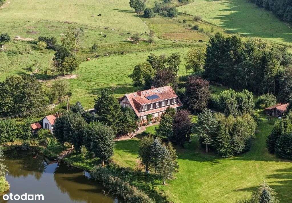 Willa z historią i ponad 4 hektarami ziemi - Pełny obrazek: 2/10