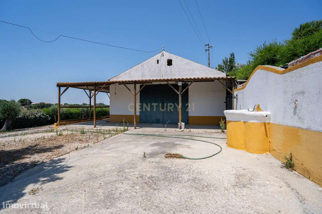 Quinta Equestre a 45 minutos de Lisboa-15