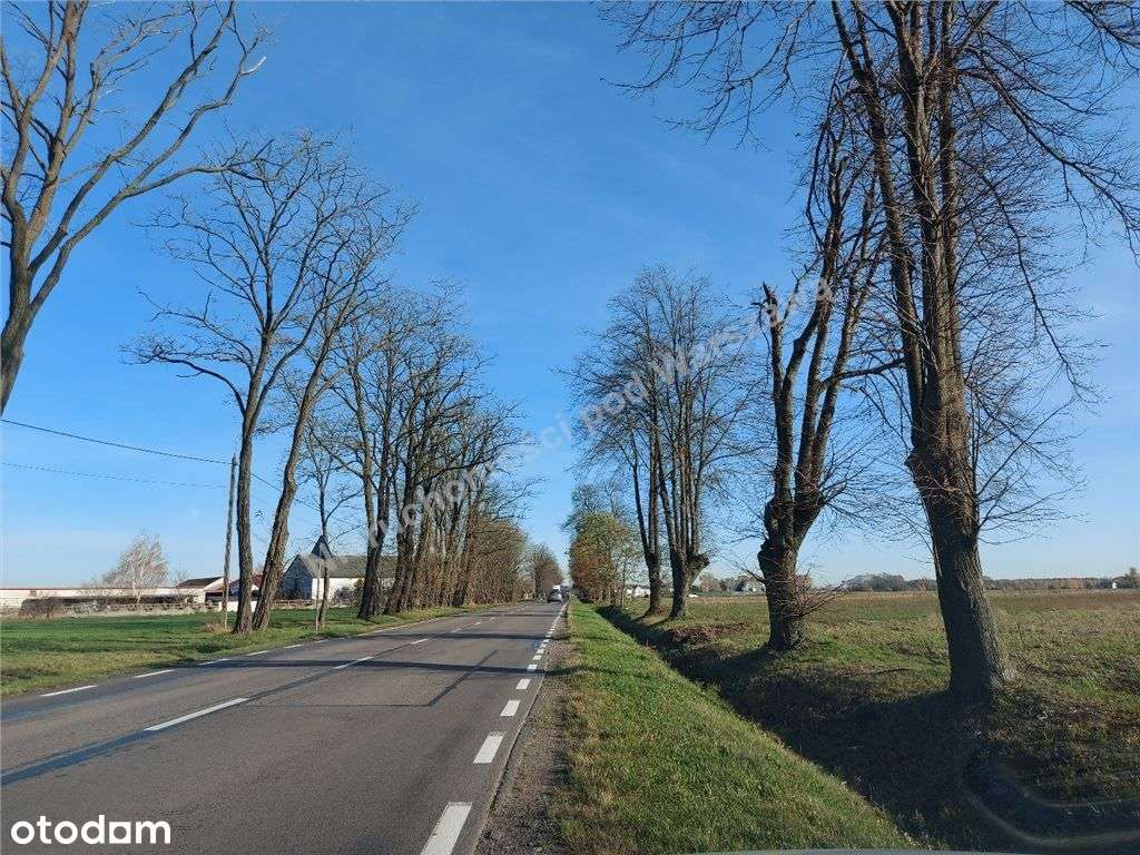 Wygodna Lokalizacja - Dobra Lokata Kapitału.