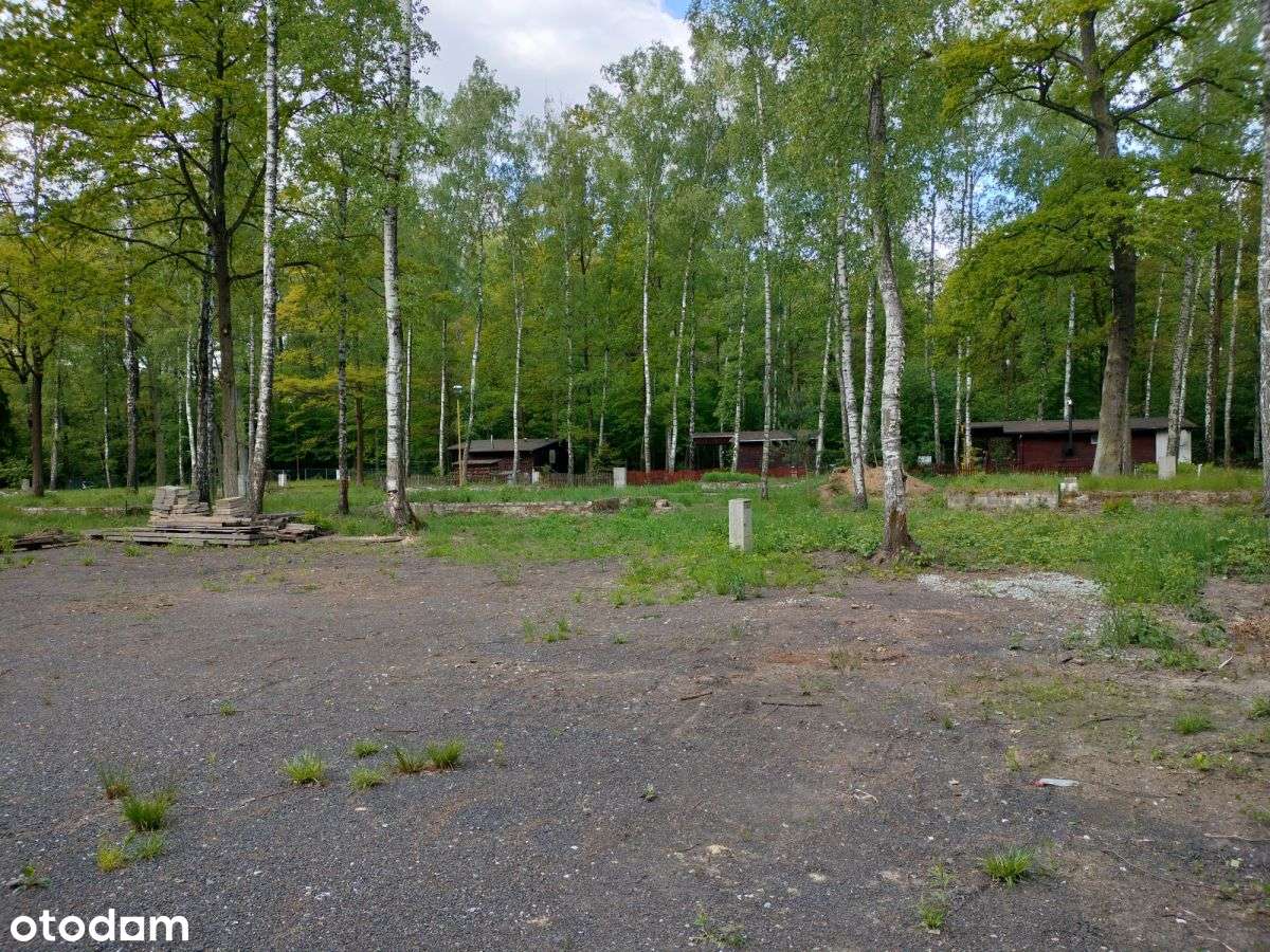 Działki turystyczno rekreacyjne w lesie-5