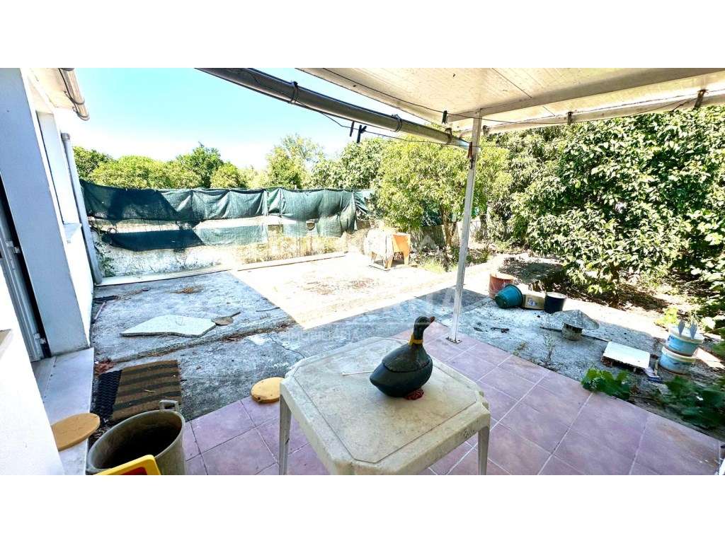 Moradia T3 em Banda - Churrasqueira, anexo e potencial para piscina...-32