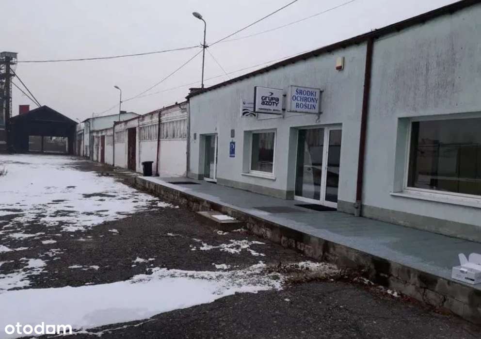 Budynki biurowo- magazynowe PRZETARG- Żnin - Pełny obrazek: 4/9