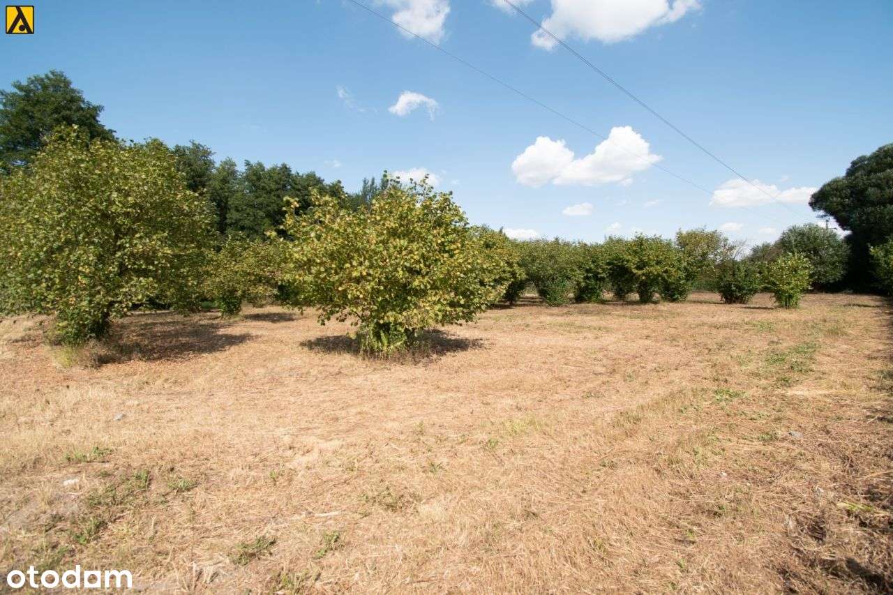 Działka 2997 m2, Czarne Błoto - Pełny obrazek: 2/4