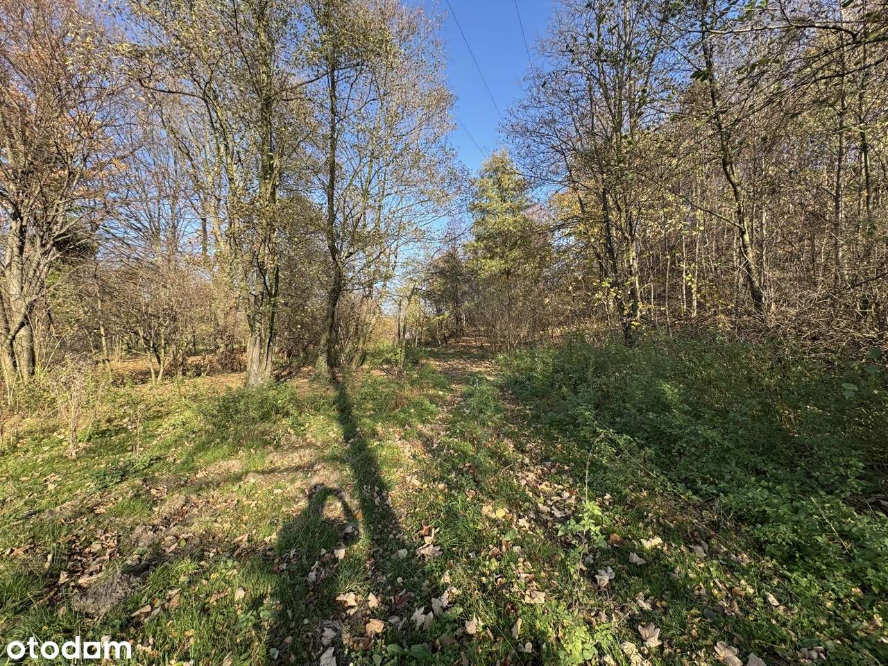 Piękne 3 działki pod Sobótka | Idealne pod Ranczo-9